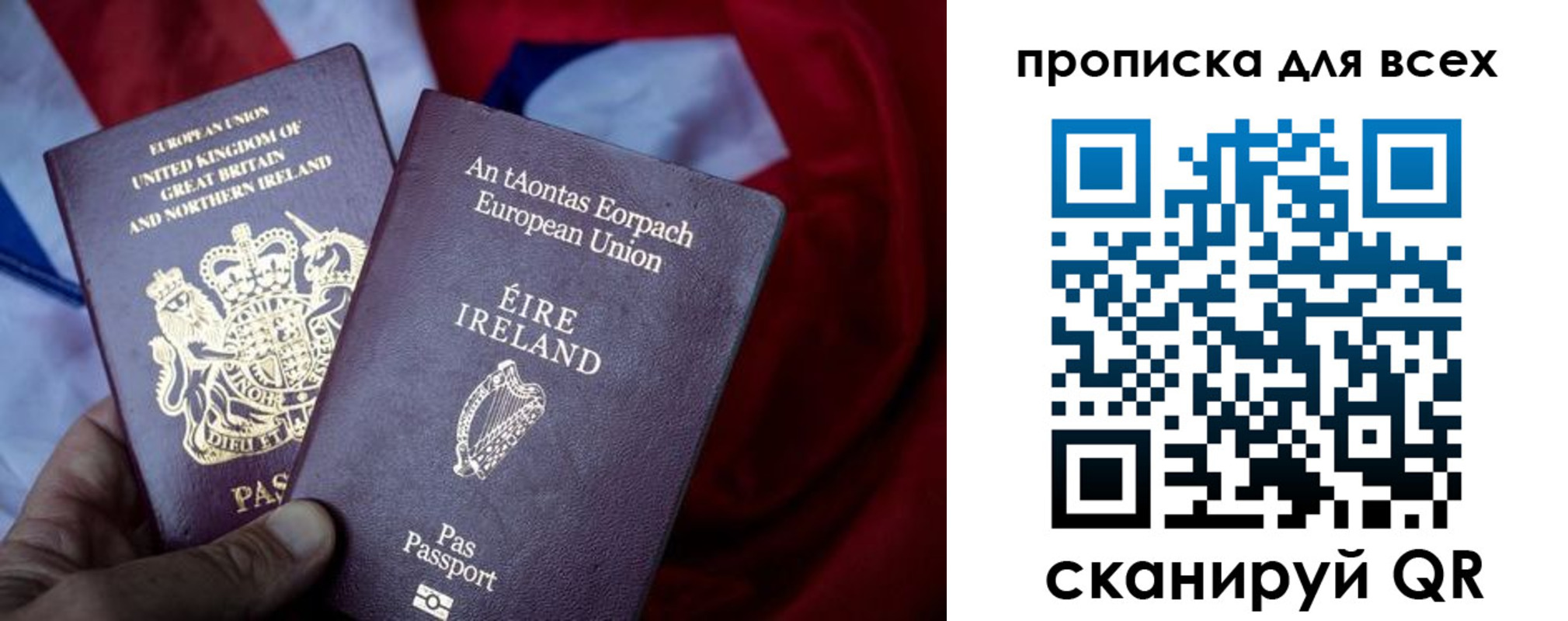 временная регистрация поиск в Ельне